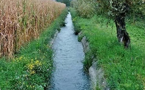 Ordinanza ripristino pulizia e corretta gestione dei fossati presenti nel territorio comunale
